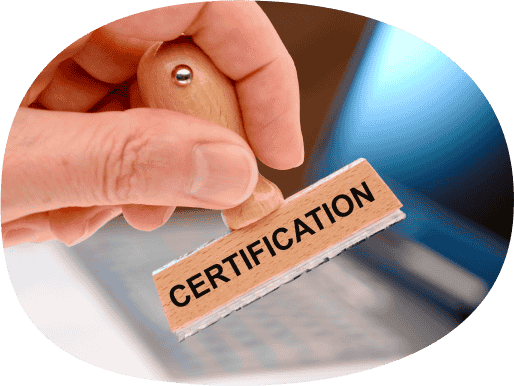 bearbrick888.io-license-img